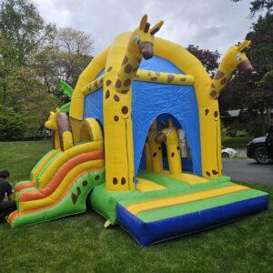 Bouncy  jirafa $250